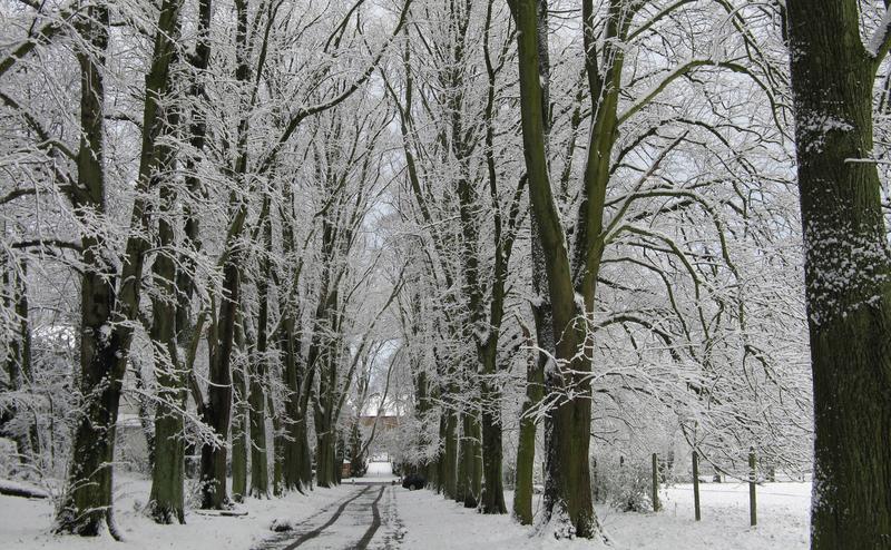 voetweg