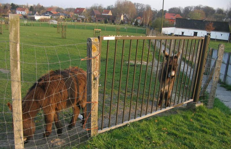 voetweg