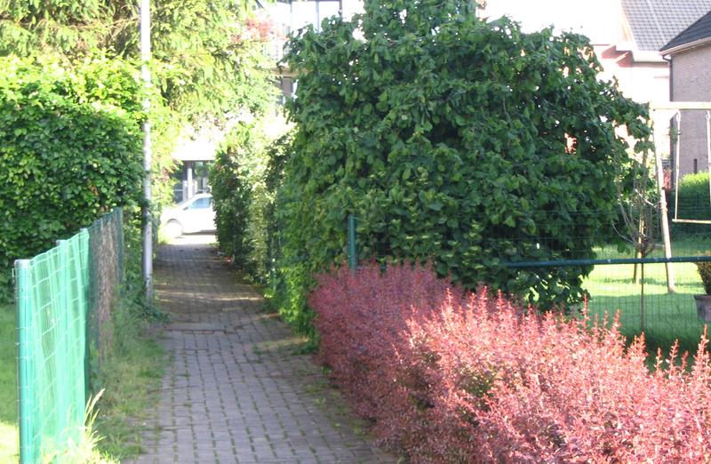 voetweg