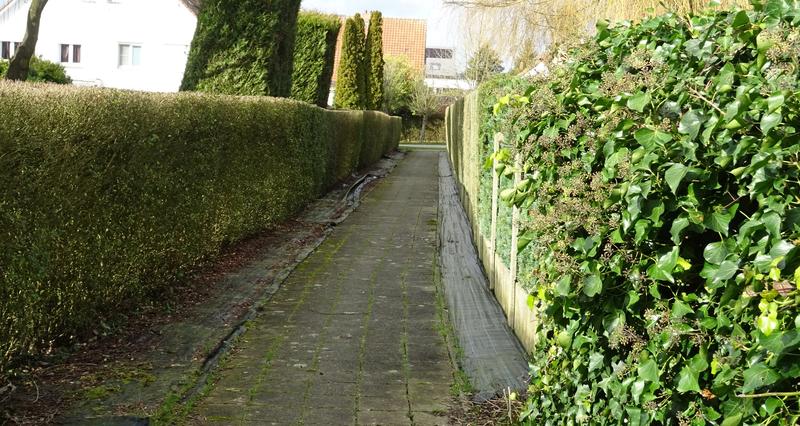 voetweg