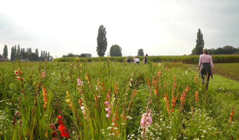 voetweg