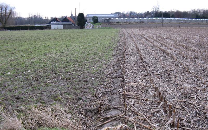 voetweg